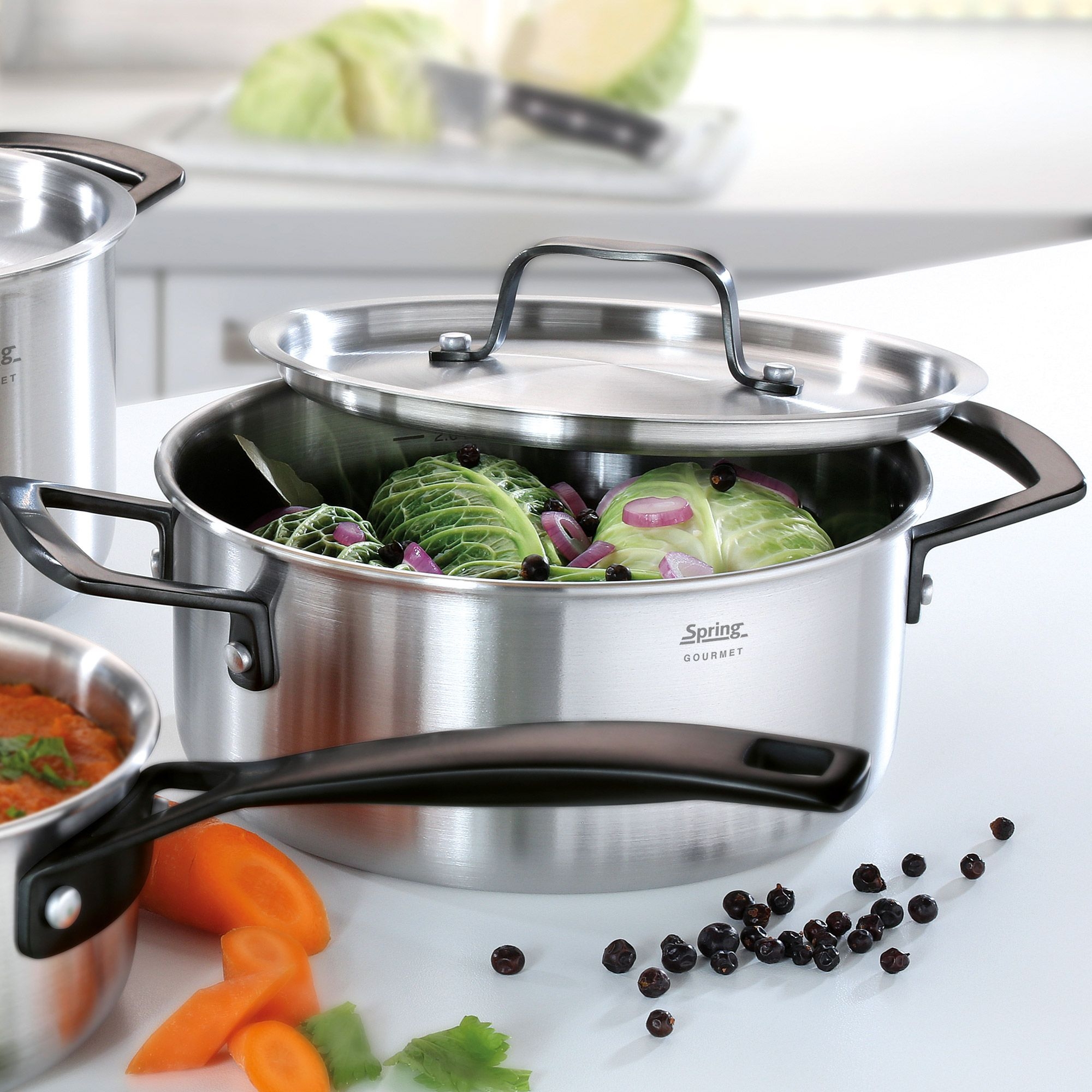 Spring - Frying pot GOURMET 20 cm - black